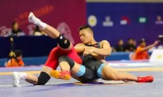 包含摔跤夜战：蓬莱灰熊队淘汰对手东海貔貅队，临门一脚致胜黑马成最大惊喜的词条-足球直播ayx